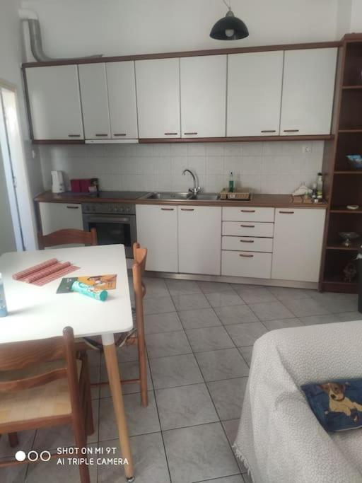 アイオス・ニコラオスMy Aunts Houseアパートメント エクステリア 写真